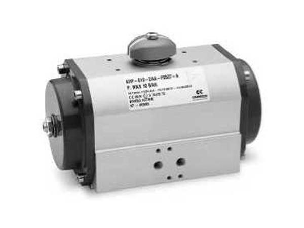 ATUADOR ROTATIVO SA SERIE ARP - CÓD. ARP-010-1AA-F0507-AEX
