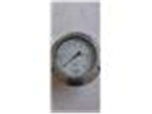 MANOMETRO MOD. FIPG100/6, ROSCA 1/4 NPT COM GLICERINA, ESCALA 0-25 KGF/CM2